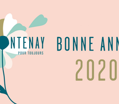 Voeux 2020